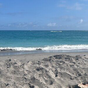 Meet your Posher, Jessie